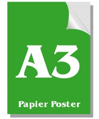 Papier Poster A3